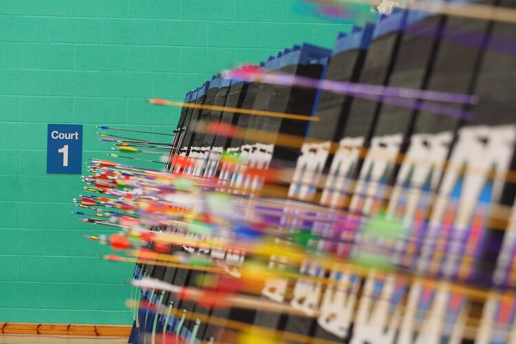 New Regional Committee for Northern Ireland