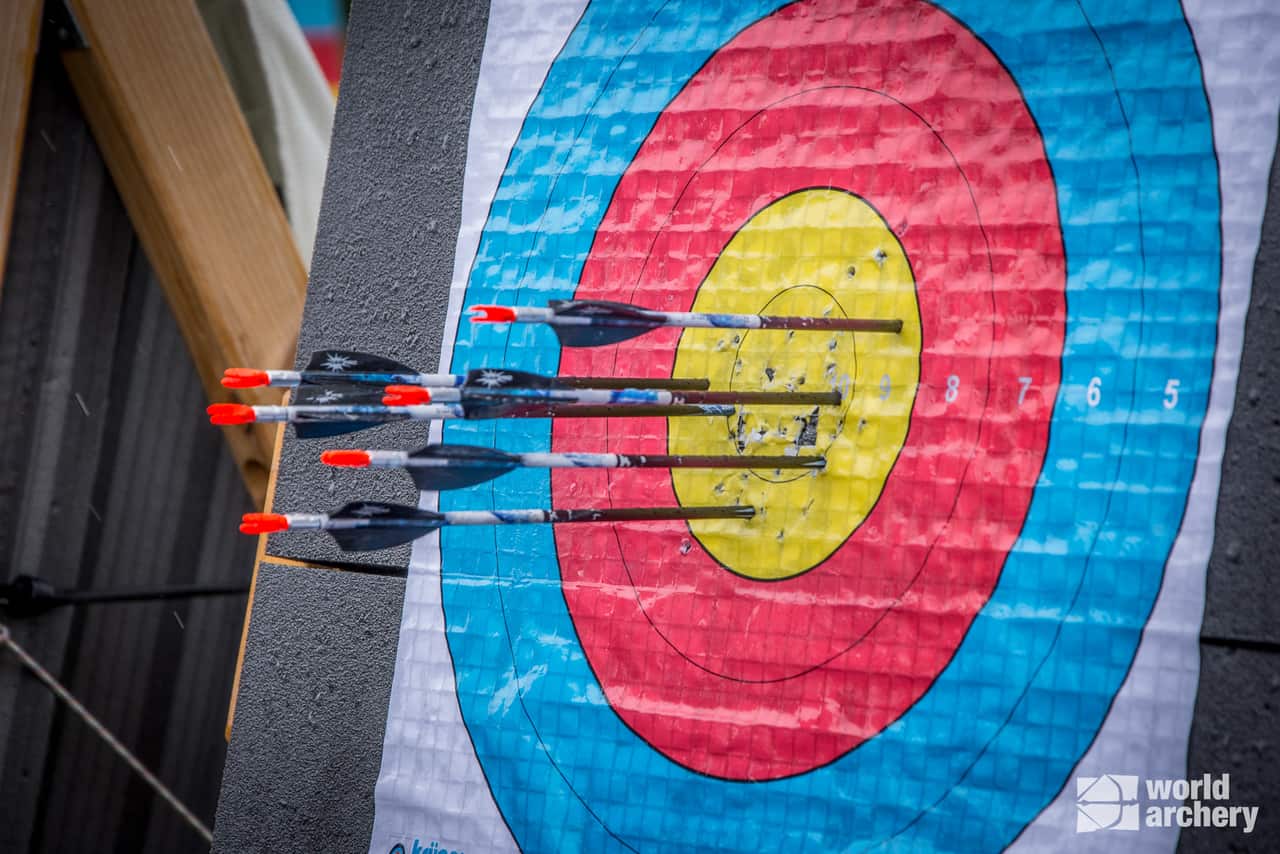 Elected director to step down to pursue archery charity