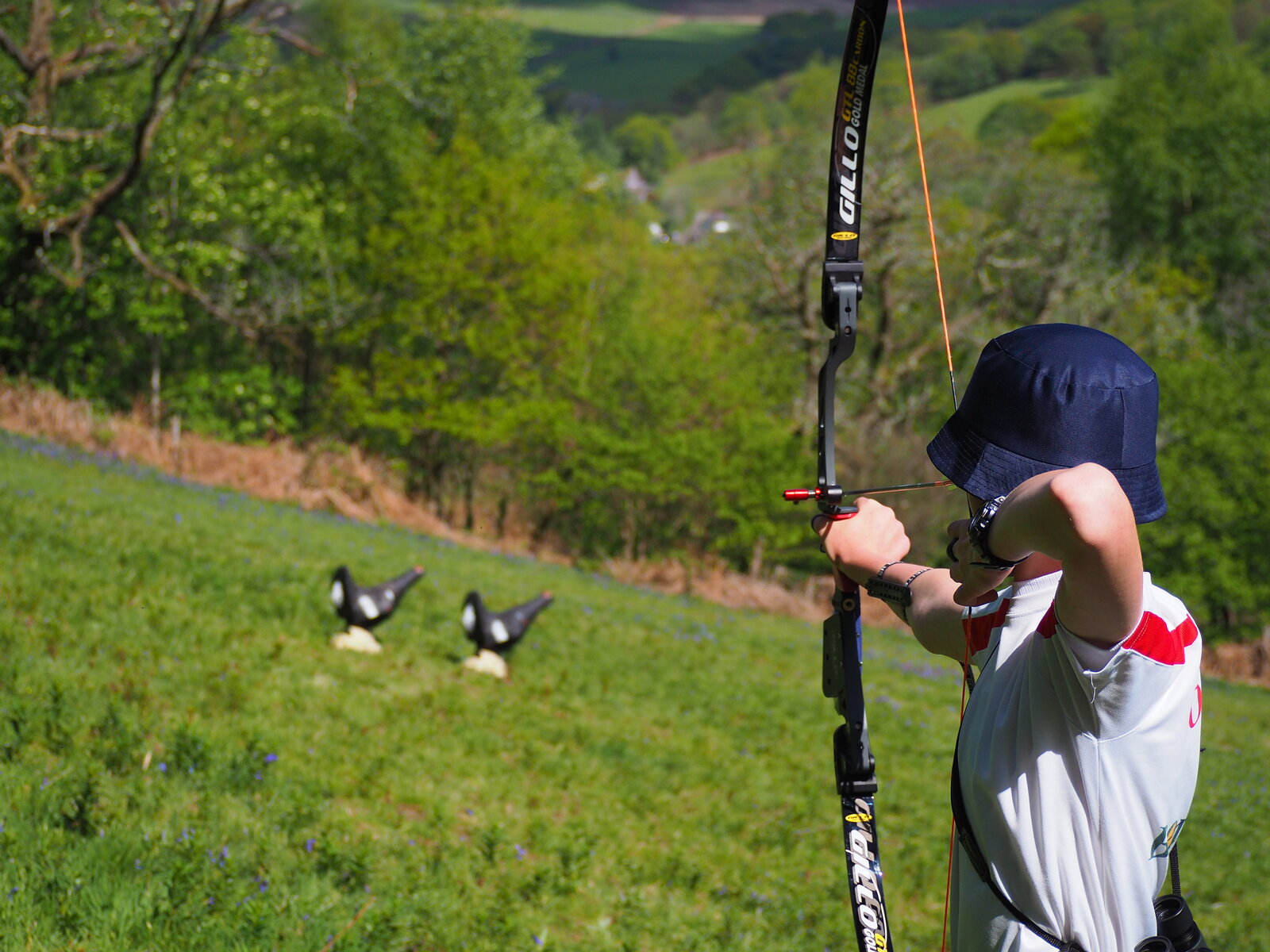 What is Field and 3D Archery | Bows & Scoring | Archery GB